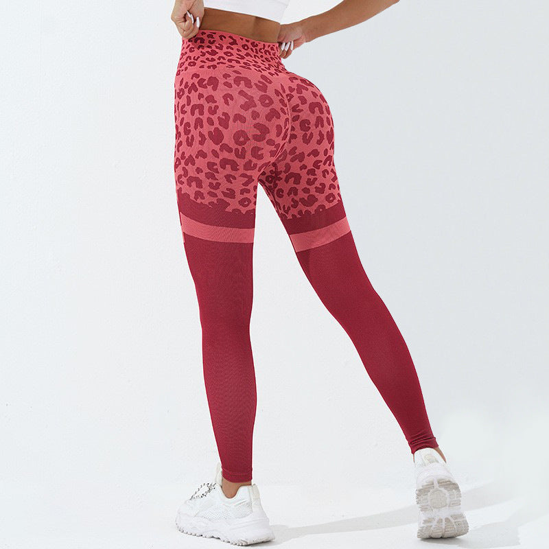 Women’s Leopard Print High Waist Seamless Leggings